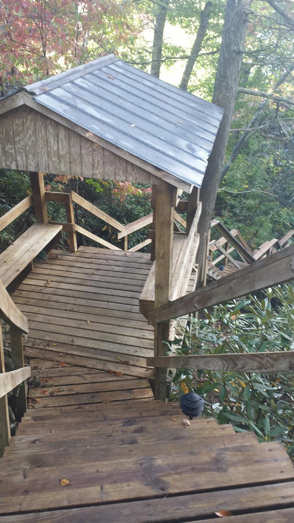 Metal roofed shelter over wooden steps on a wooded walkway — Skylight Repair & Installation work by our crew in Bancroft