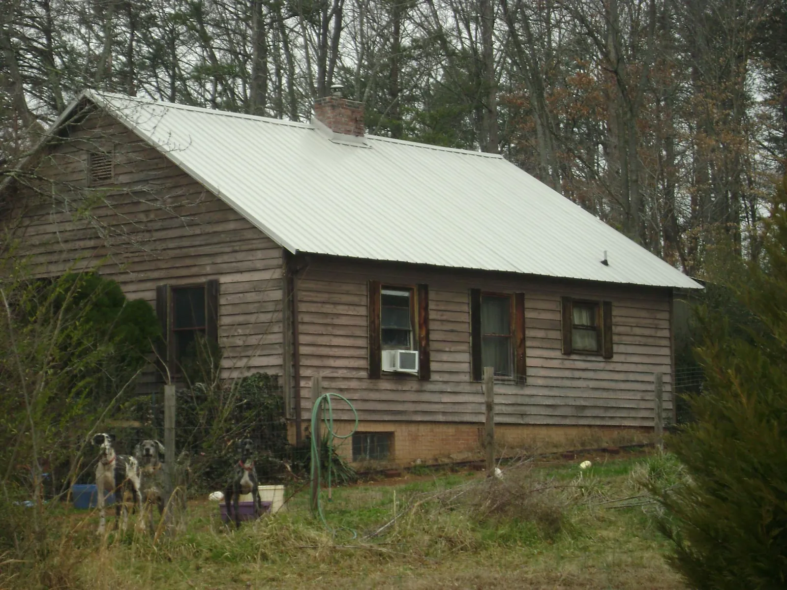White metal roof on an old wood sided farmhouse, from a Asphalt Shingle Roof Repair job in Bancroft
